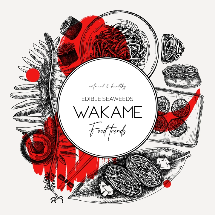 Edible seaweed wreath design in collage style. Hand-drawn wakame sketches. Sea vegetables vector illustration. Japanese cuisine frame. Modern restaurant menu. Healthy food ingredients collection